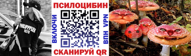 кракен ТОР  Ладушкин  Галлюциногенные грибы ЛСД 